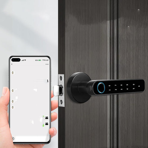Fingerprint Door Lock